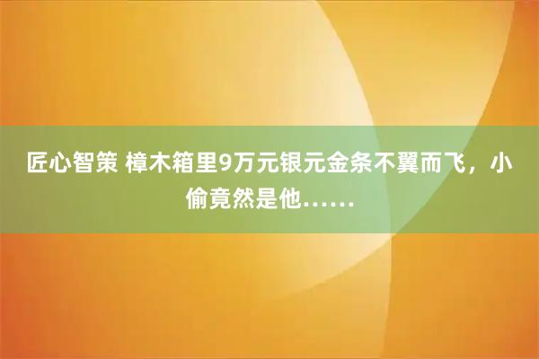 匠心智策 樟木箱里9万元银元金条不翼而飞，小偷竟然是他……