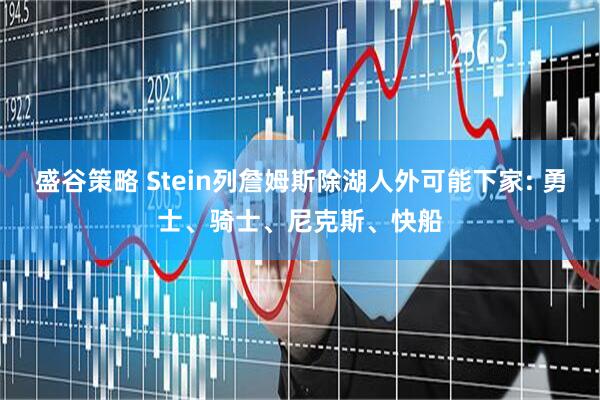 盛谷策略 Stein列詹姆斯除湖人外可能下家: 勇士、骑士、尼克斯、快船