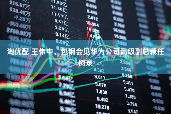 淘优配 王伟中、包钢会见华为公司高级副总裁任树录
