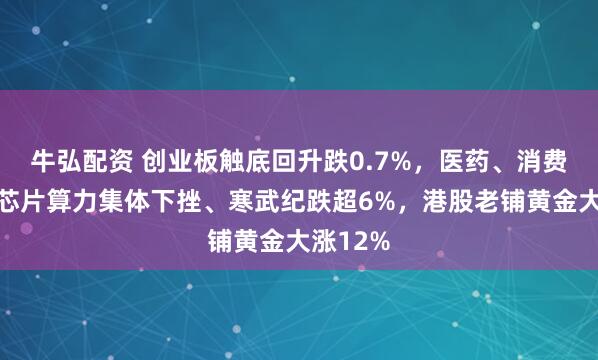 牛弘配资 创业板触底回升跌0.7%，医药、消费大涨，芯片算力集体下挫、寒武纪跌超6%，港股老铺黄金大涨12%