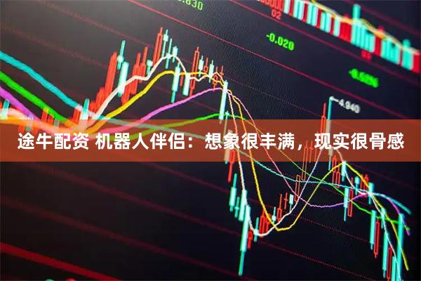途牛配资 机器人伴侣：想象很丰满，现实很骨感